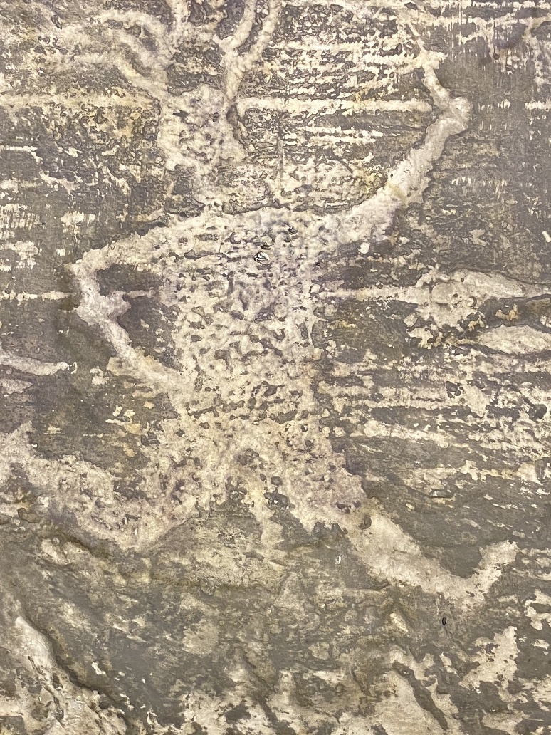 rock1 image