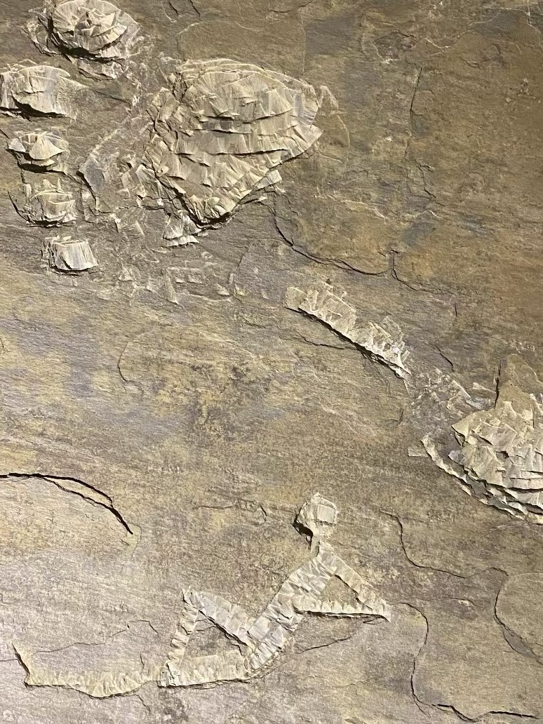 rock2 image